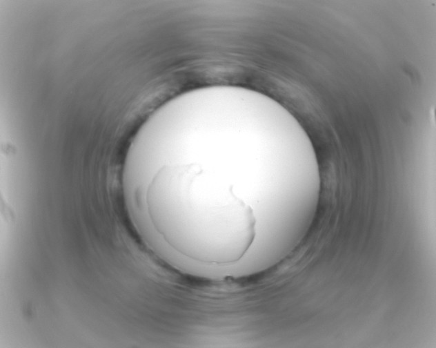 X0000091330278200708101007
