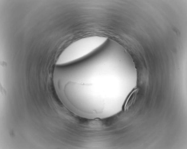 X0000091330279200708101007