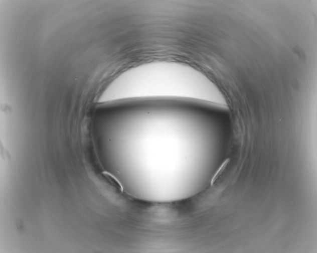 X0000091330280200708101007