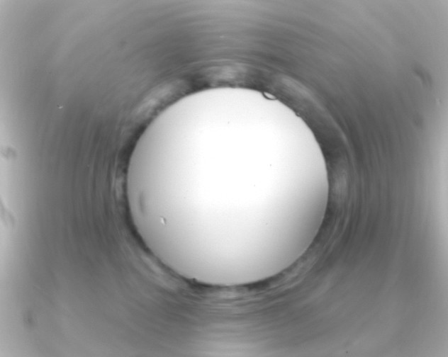 X0000091330282200708101007