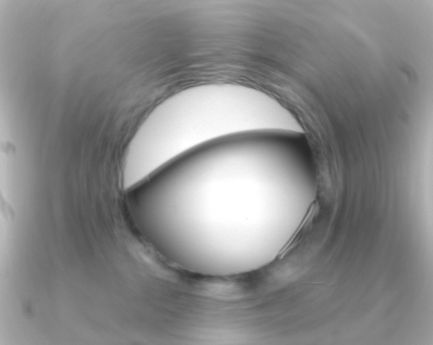 X0000091330284200708101007