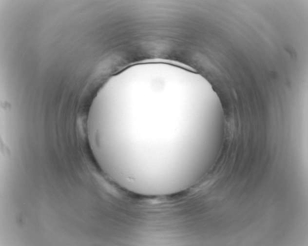 X0000091330286200708101007