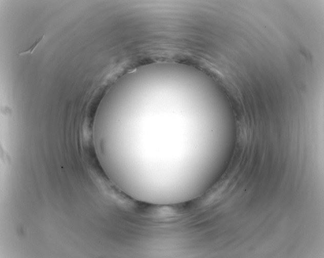 X0000091330287200708101007