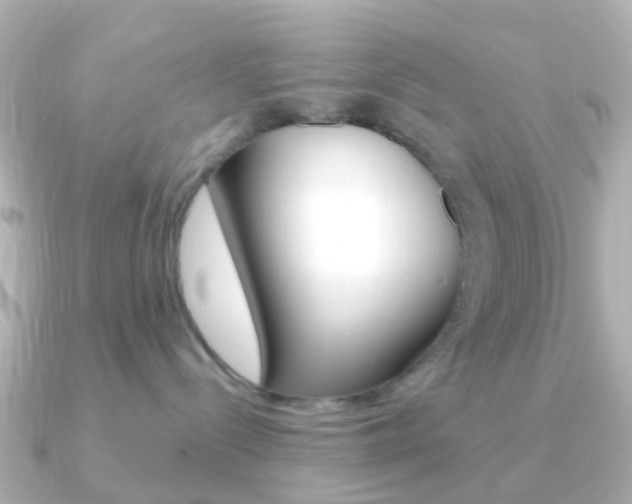 X0000091330288200708101007