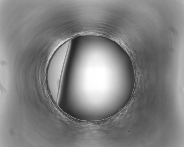 X0000091330289200708101006