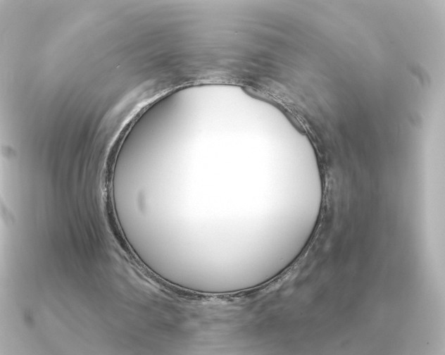 X0000091330290200708101006