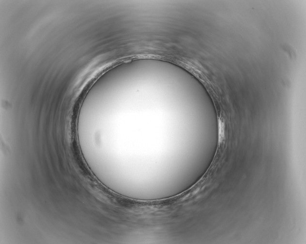 X0000091330291200708101006