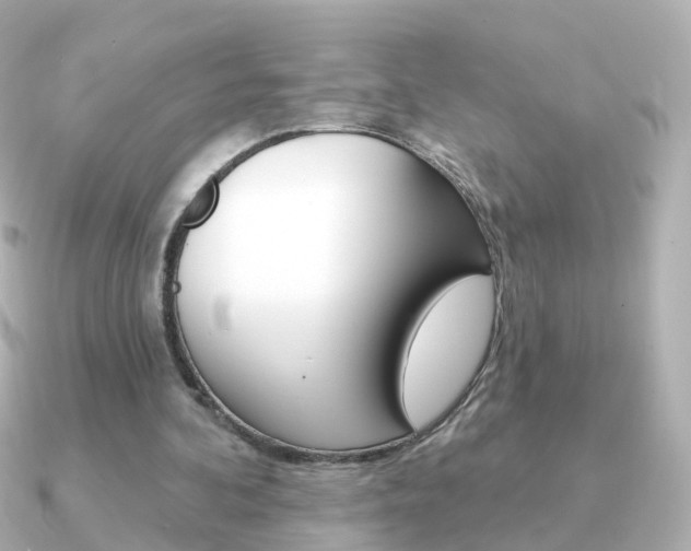 X0000091330292200708101006