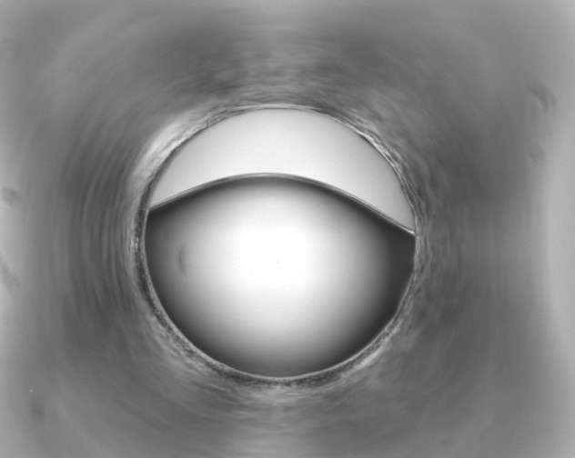 X0000091330293200708101006