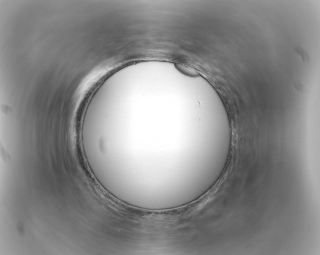 X0000091330294200708101006