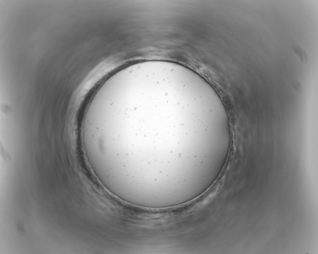 X0000091330295200708101006