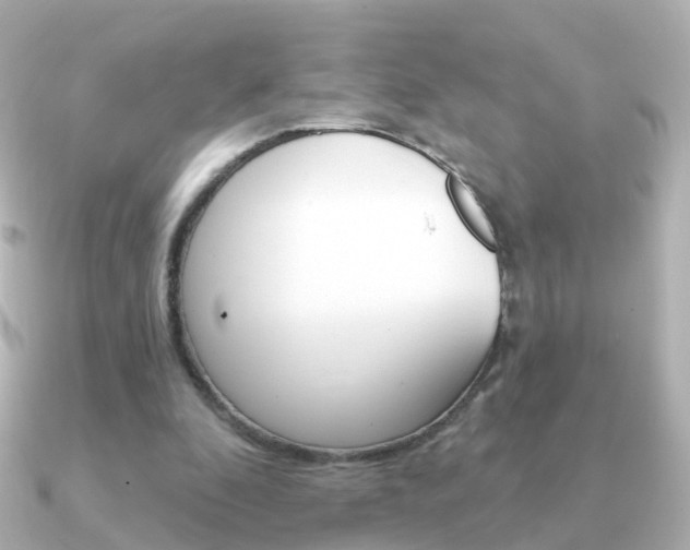 X0000091330296200708101006