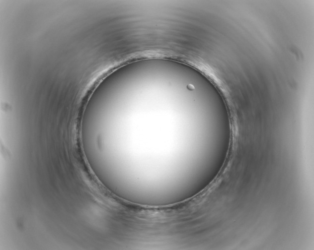 X0000091330297200708101006