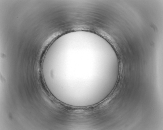 X0000091330298200708101006