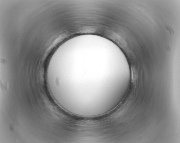 X0000091330300200708101006