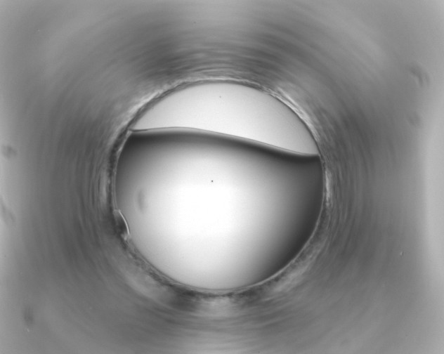 X0000091330301200708101006