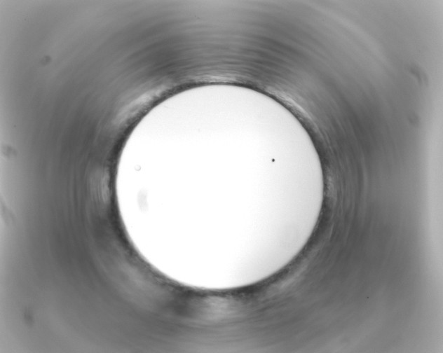 X0000091330302200708101006