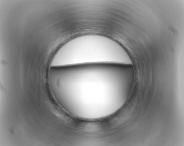 X0000091330303200708101006