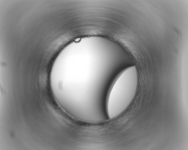 X0000091330304200708101006
