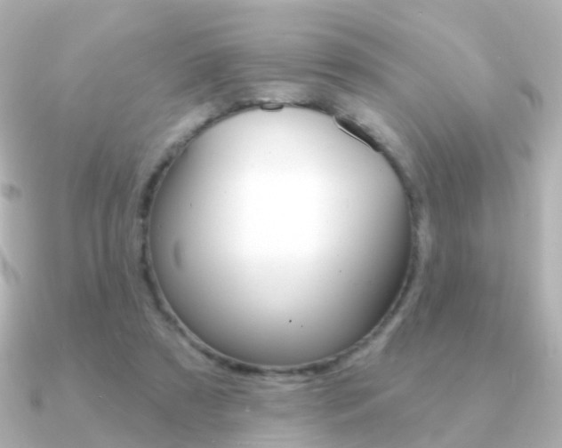 X0000091330305200708101006