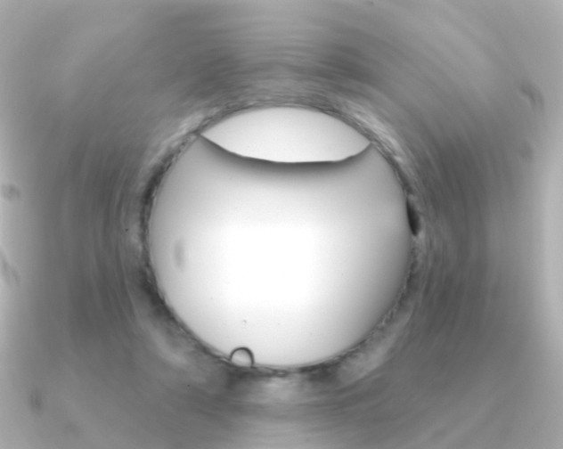 X0000091330306200708101006