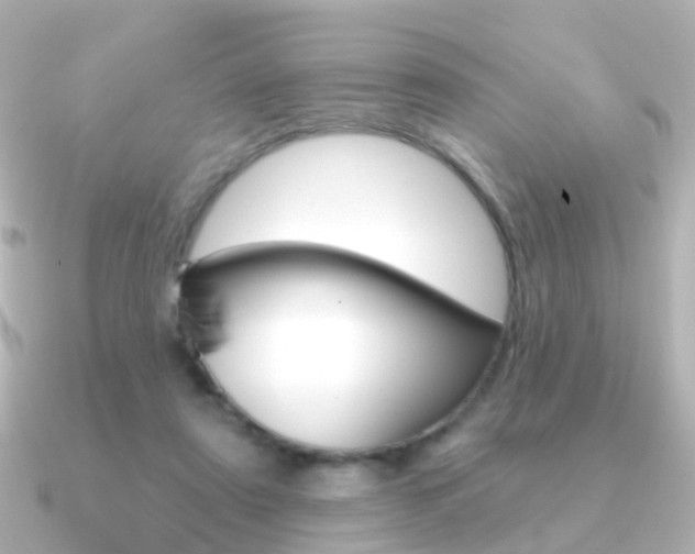 X0000091330307200708101006