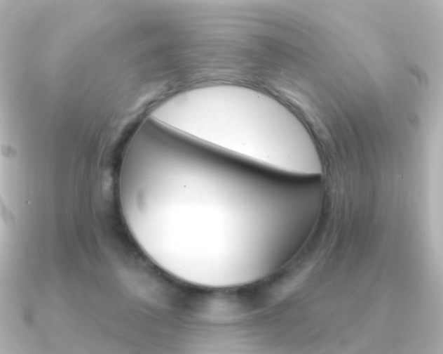X0000091330308200708101006
