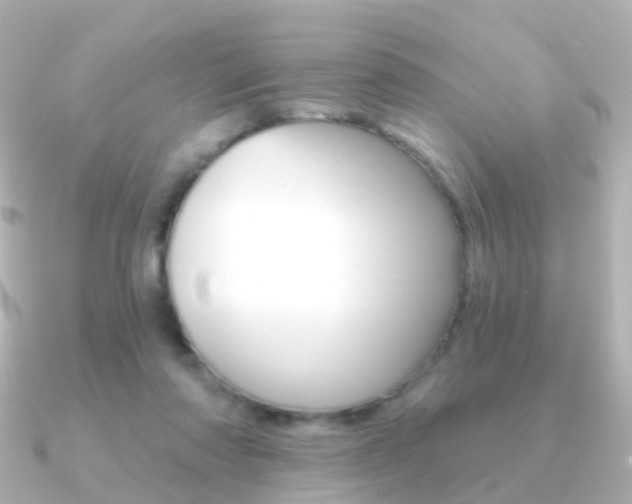 X0000091330310200708101006