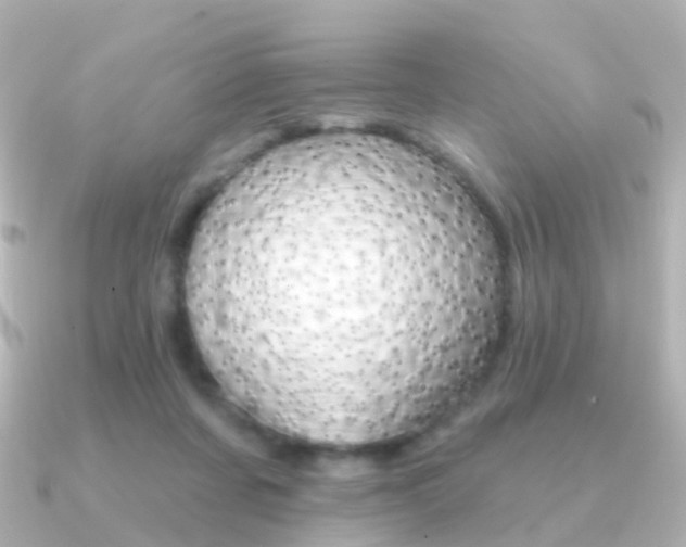 X0000091330311200708101006