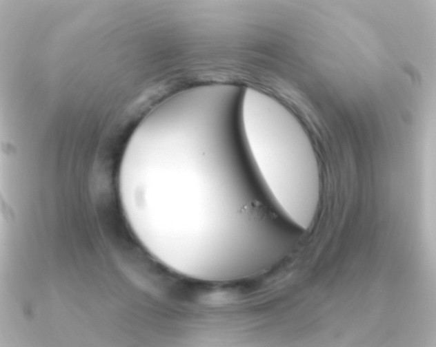 X0000091330312200708101006