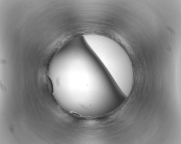 X0000091330313200708101006