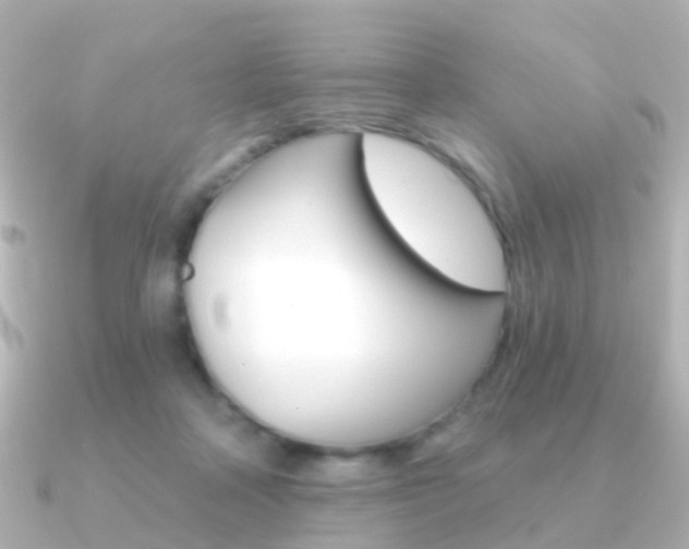 X0000091330314200708101006