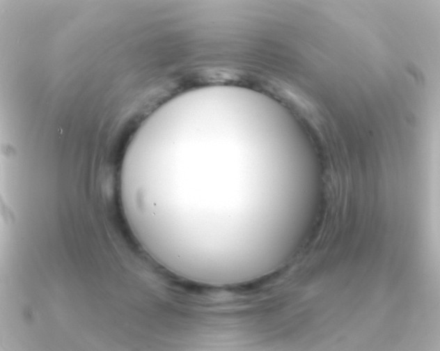 X0000091330315200708101006
