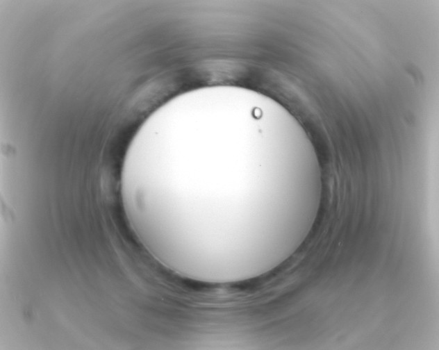 X0000091330316200708101006