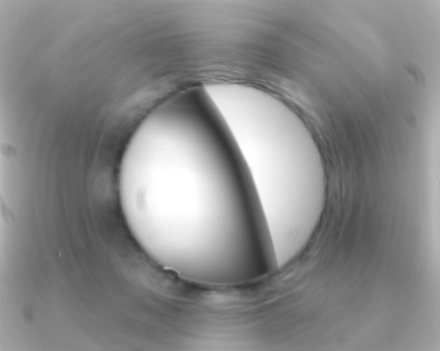 X0000091330317200708101006