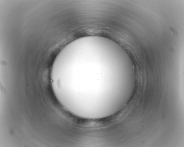 X0000091330319200708101006