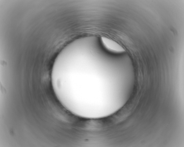 X0000091330320200708101006