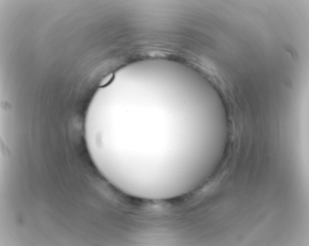 X0000091330321200708101006