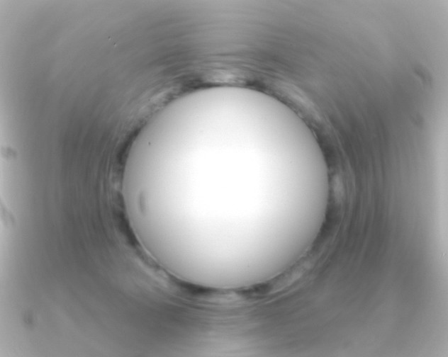 X0000091330322200708101006