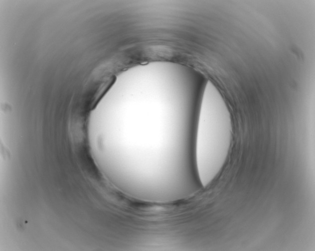 X0000091330323200708101006