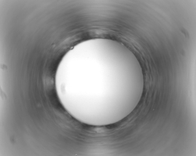 X0000091330324200708101006