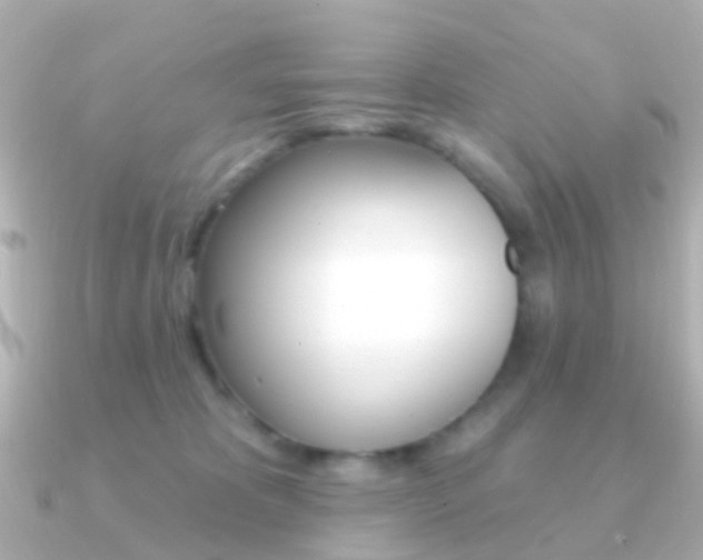 X0000091330325200708101006