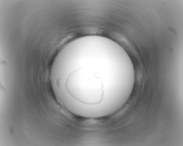 X0000091330326200708101006