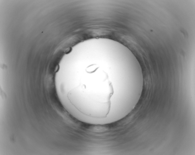 X0000091330327200708101006