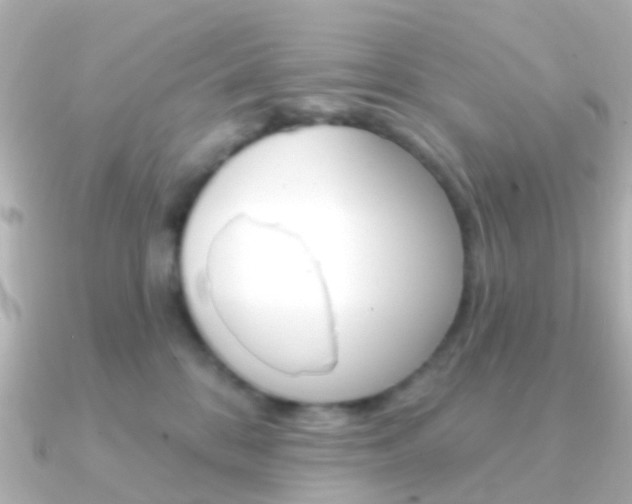 X0000091330328200708101006