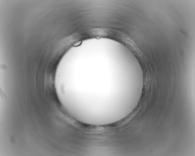 X0000091330330200708101006