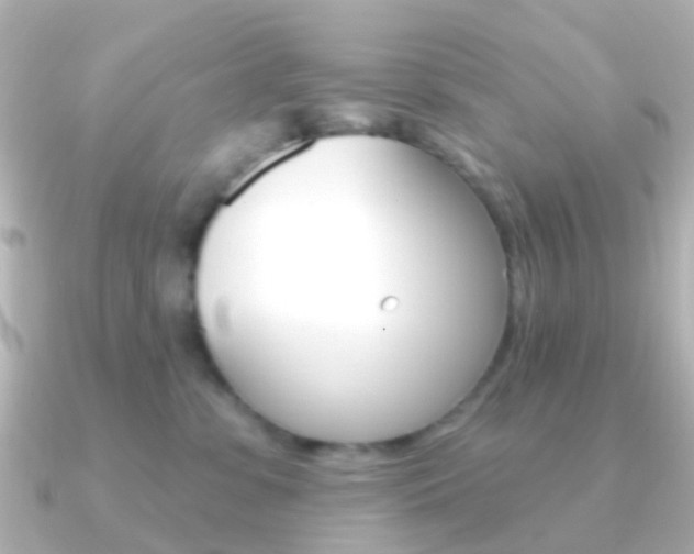 X0000091330331200708101006