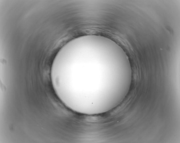 X0000091330332200708101006