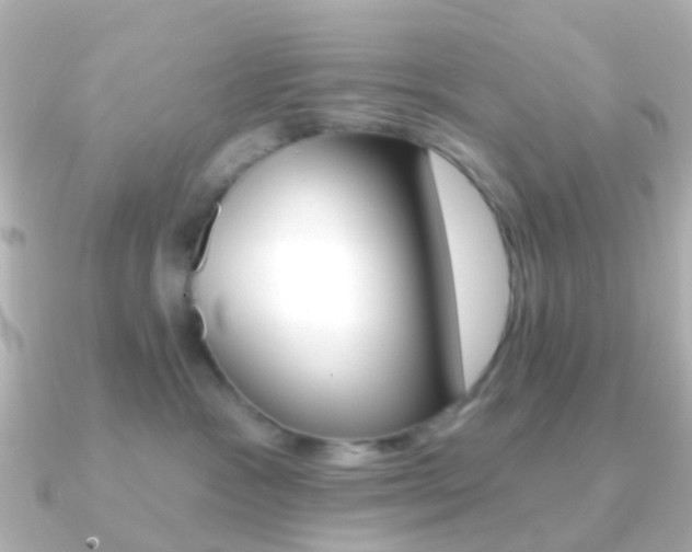 X0000091330333200708101006