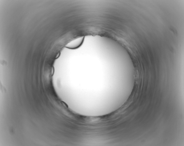 X0000091330334200708101006